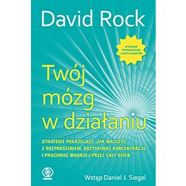 Twój mózg w działaniu (e-book)