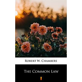 The Common Law (e-book)