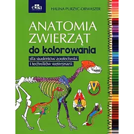 Anatomia zwierząt do kolorowania