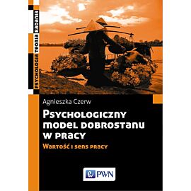 Psychologiczny model dobrostanu w pracy. Wartość i sens pracy