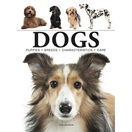 Dogs wer. angielska
