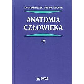 Anatomia człowieka. Tom 4