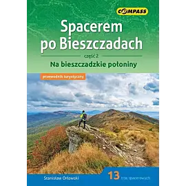 Przewodnik