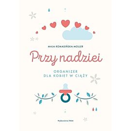 Przewodnik po zabytkach Krakowa