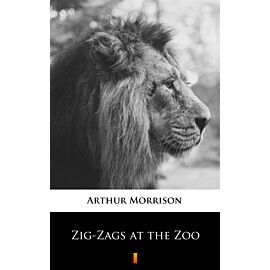 Zig-Zags at the Zoo (e-book)