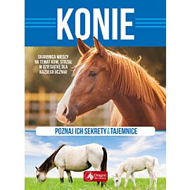 Konie