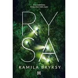 Rysa