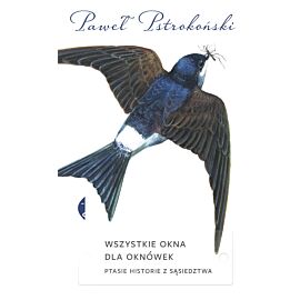 Wszystkie okna dla oknówek (e-book)