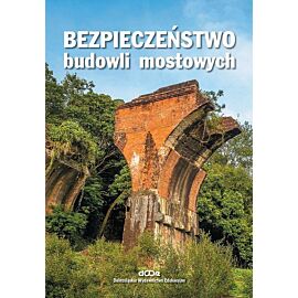 Bezpieczeństwo budowli mostowych