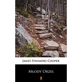 Młody Orzeł (e-book)