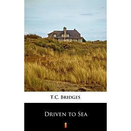 Driven to Sea (e-book)