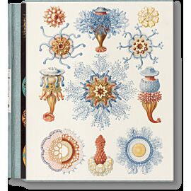 The Art and Science of Ernst Haeckel