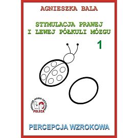Stymulacja prawej i lewej półkuli mózgu 1 Percepcja wzrokowa