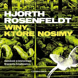 Winy, które nosimy (audiobook MP3)