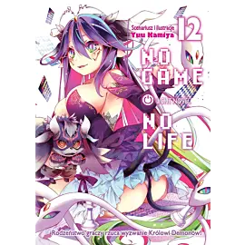 No Game No Life (Light Novel) - 12