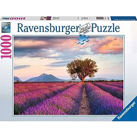 Puzzle 2d 1000 sielski krajobraz 16724