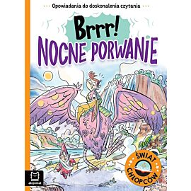 Opowiadania do doskonalenia czytania. Świat chłopców. Brrr! Nocne porwanie