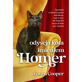 Odyseja kota imieniem Homer (e-book)