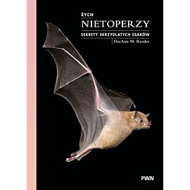 Życie nietoperzy