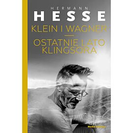 Klein i Wagner. Ostatnie lato Klingsora (e-book)