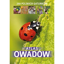 Atlas owadów