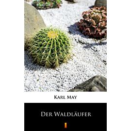 Der Waldläufer (e-book)