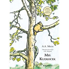 Miś Kudłocek (e-book)