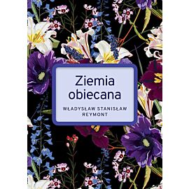 Ziemia obiecana wyd. Specjalne