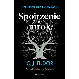 Spojrzenie w mrok (e-book)