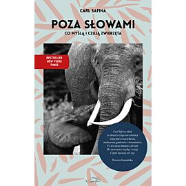 Poza słowami