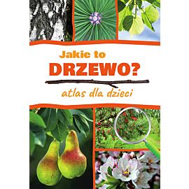 Jakie to drzewo? atlas dla dzieci