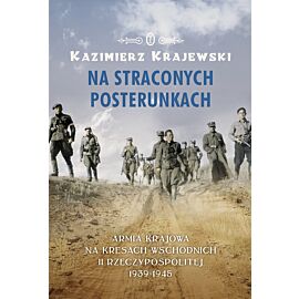 Na straconych posterunkach (e-book)