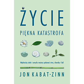 Życie, piękna katastrofa (e-book)