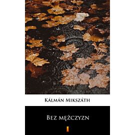Bez mężczyzn (e-book)