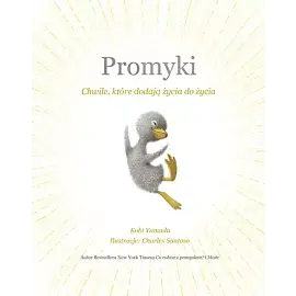 Promyki
