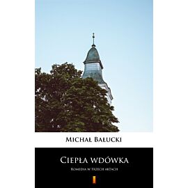 Ciepła wdówka (e-book)
