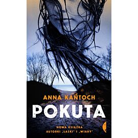 Pokuta (e-book)