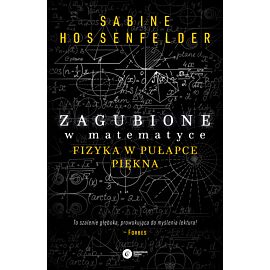 Zagubione w matematyce (e-book)