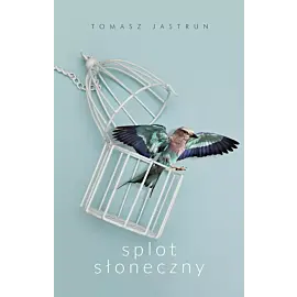 Splot słoneczny (Duże Litery)