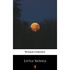Little Novels (e-book)