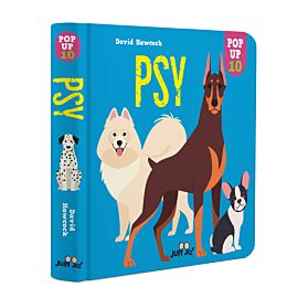 Psy
