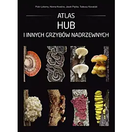 Atlas hub i innych grzybów nadrzewnych