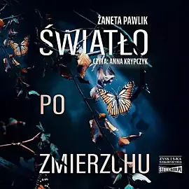 Światło po zmierzchu (audiobook CD)