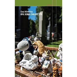 Był sobie chłopczyk (e-book)