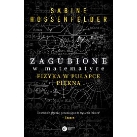 Zagubione w matematyce