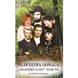 Meandry losu. Tom 7 Prawdziwa odwaga