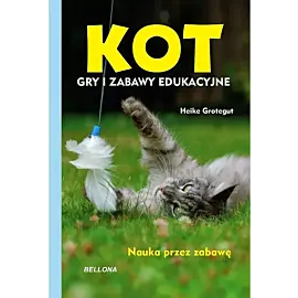 Kot. Gry i zabawy edukacyjne