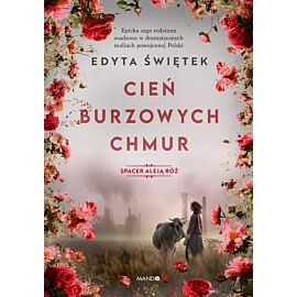 Cień burzowych chmur