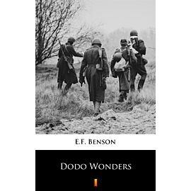 Dodo Wonders (e-book)