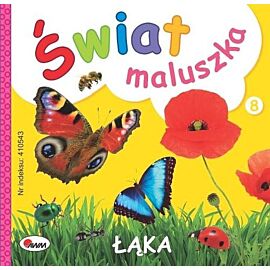 Łąka. Świat maluszka